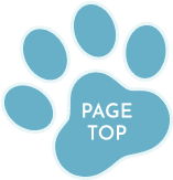 pagetop