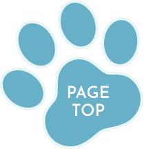 top-page