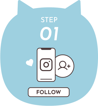 step1 follow