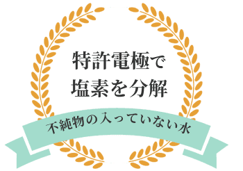 特許電極で塩素を分解